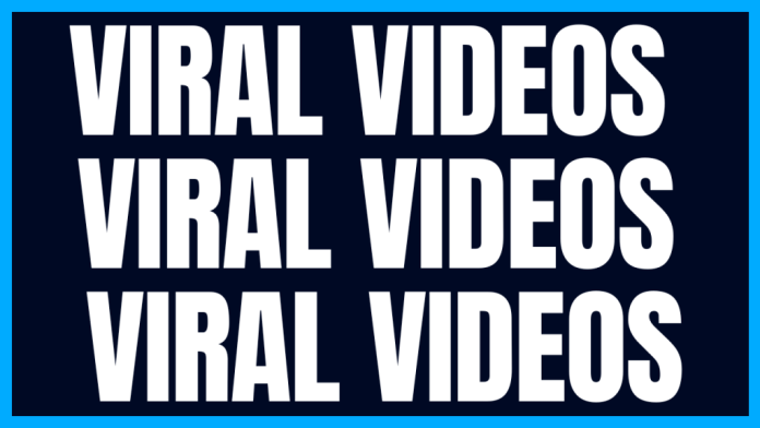 viral tiktok videos